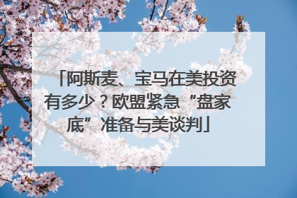 阿斯麦、宝马在美投资有多少？欧盟紧急“盘家底”准备与美谈判