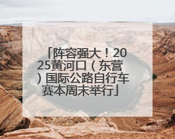 阵容强大！2025黄河口（东营）国际公路自行车赛本周末举行
