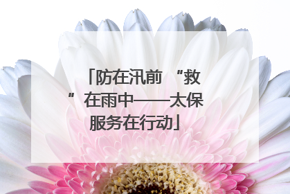 防在汛前 “救”在雨中——太保服务在行动