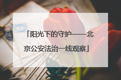 阳光下的守护——北京公安法治一线观察