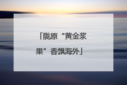 陇原“黄金浆果”香飘海外