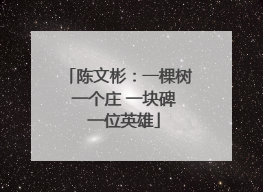 陈文彬：一棵树 一个庄 一块碑 一位英雄