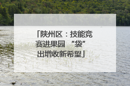 陕州区：技能竞赛进果园 “袋”出增收新希望