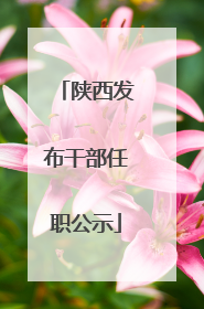 陕西发布干部任职公示