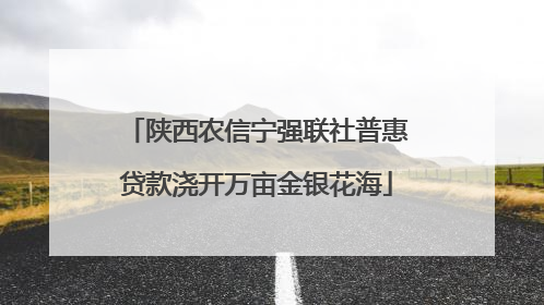 陕西农信宁强联社普惠贷款浇开万亩金银花海