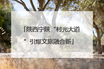 陕西宁陕“村光大道”引爆文旅融合新