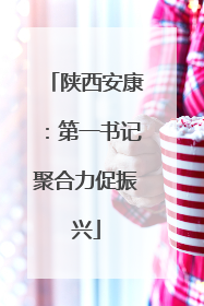 陕西安康：第一书记聚合力促振兴