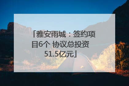雅安雨城：签约项目6个 协议总投资51.5亿元