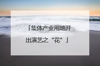 集体产业用地开出演艺之“花”