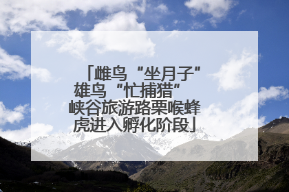 雌鸟“坐月子”雄鸟“忙捕猎” 峡谷旅游路栗喉蜂虎进入孵化阶段