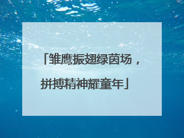 雏鹰振翅绿茵场，拼搏精神耀童年