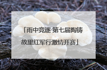 雨中竞逐 第七届陶铸故里红军行激情开赛