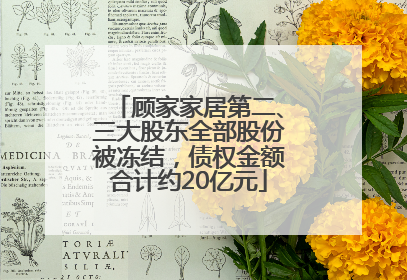 顾家家居第二、三大股东全部股份被冻结，债权金额合计约20亿元