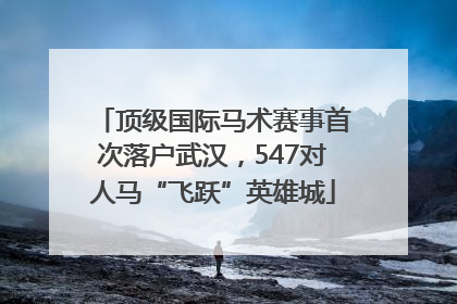 顶级国际马术赛事首次落户武汉，547对人马“飞跃”英雄城