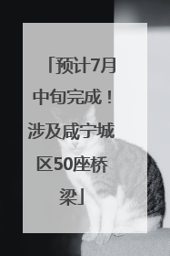 预计7月中旬完成！涉及咸宁城区50座桥梁