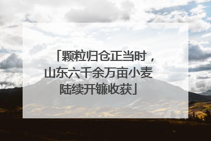 颗粒归仓正当时，山东六千余万亩小麦陆续开镰收获