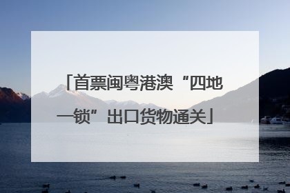 首票闽粤港澳“四地一锁”出口货物通关