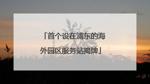 首个设在浦东的海外园区服务站揭牌