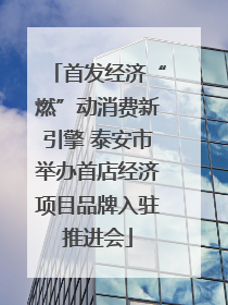 首发经济“燃”动消费新引擎 泰安市举办首店经济项目品牌入驻推进会