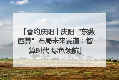 香约庆阳丨庆阳“东数西算”布局未来赛道：智算时代 绿色领航
