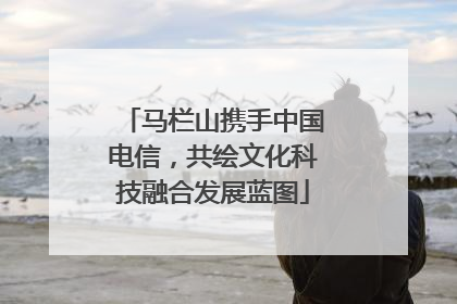 马栏山携手中国电信，共绘文化科技融合发展蓝图