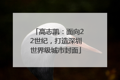 高志凯：面向22世纪，打造深圳世界级城市封面