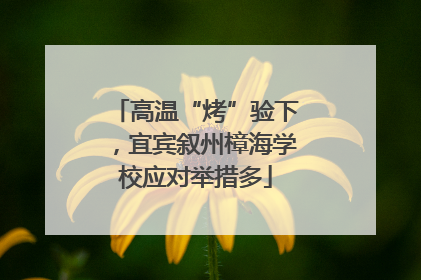 高温“烤”验下，宜宾叙州樟海学校应对举措多