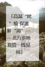 高温“烤”验 保灌解“渴”——北方多地夏管一线见闻