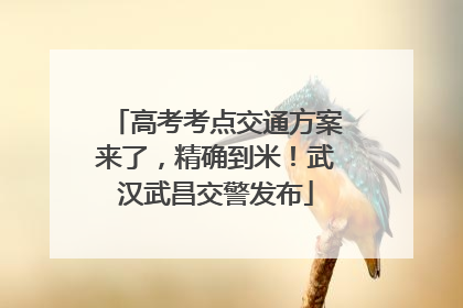 高考考点交通方案来了，精确到米！武汉武昌交警发布