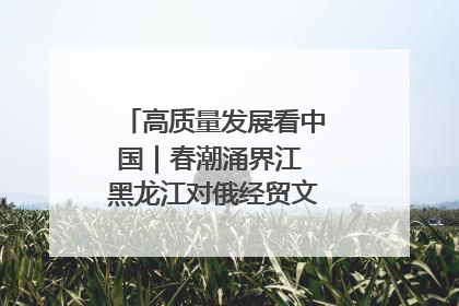 高质量发展看中国｜春潮涌界江 黑龙江对俄经贸文旅交流绿意盎然
