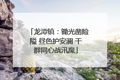 龙潭镇：锄光凿险隘 昼色护安澜 干群同心战汛魔