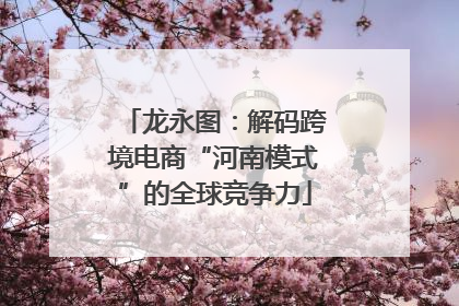 龙永图：解码跨境电商“河南模式”的全球竞争力