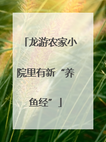 龙游农家小院里有新“养鱼经”