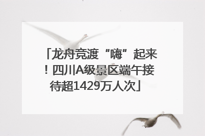 龙舟竞渡“嗨”起来！四川A级景区端午接待超1429万人次