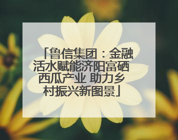 鲁信集团：金融活水赋能济阳富硒西瓜产业 助力乡村振兴新图景
