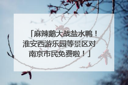 麻辣鹅大战盐水鸭！淮安西游乐园等景区对南京市民免费啦！