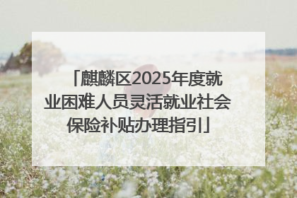 麒麟区2025年度就业困难人员灵活就业社会保险补贴办理指引