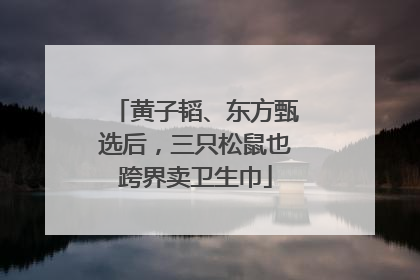 黄子韬、东方甄选后，三只松鼠也跨界卖卫生巾