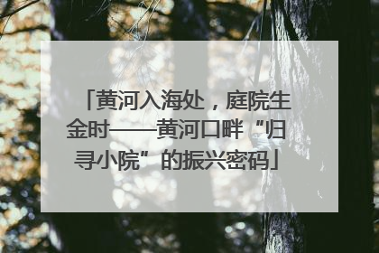 黄河入海处，庭院生金时——黄河口畔“归寻小院”的振兴密码