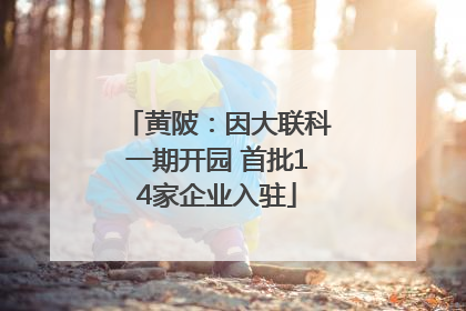 黄陂：因大联科一期开园 首批14家企业入驻