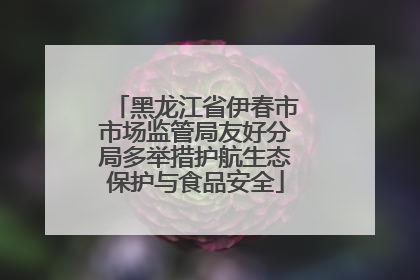 黑龙江省伊春市市场监管局友好分局多举措护航生态保护与食品安全