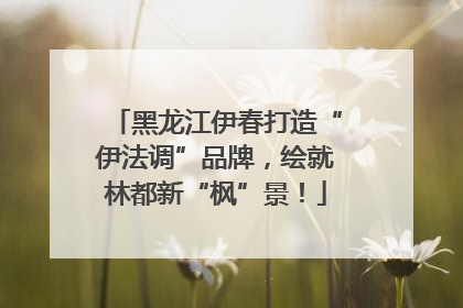 黑龙江伊春打造“伊法调”品牌，绘就林都新“枫”景！