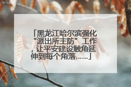 黑龙江哈尔滨强化“派出所主防”工作，让平安建设触角延伸到每个角落……