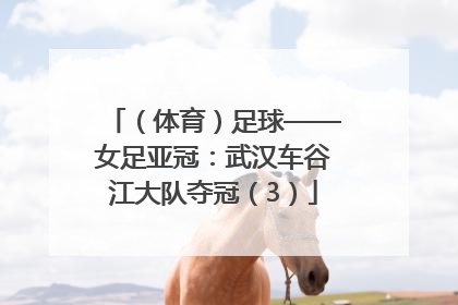 （体育）足球——女足亚冠：武汉车谷江大队夺冠（3）