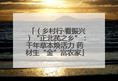 （乡村行·看振兴）“正北芪之乡”：千年草本焕活力 药材生“金”富农家