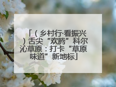（乡村行·看振兴）舌尖“欢腾”科尔沁草原：打卡“草原味道”新地标