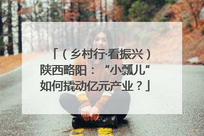 （乡村行·看振兴）陕西略阳：“小瓢儿”如何撬动亿元产业？