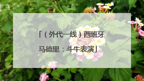 （外代一线）西班牙马德里：斗牛表演