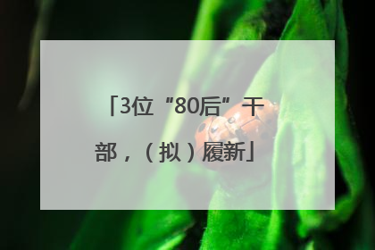 3位“80后”干部，（拟）履新