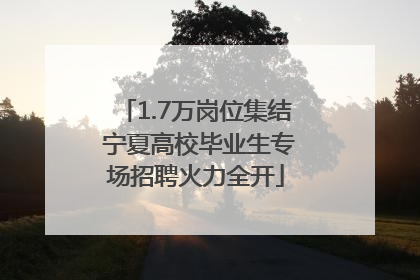 1.7万岗位集结 宁夏高校毕业生专场招聘火力全开
